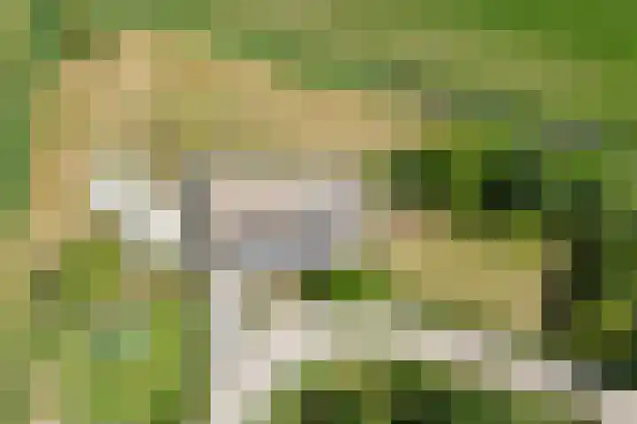 Ewoudsdam 20 Zevenbergschen Hoek thumbnail 71