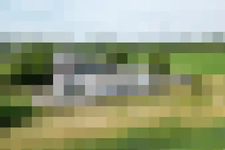 Ewoudsdam 20 Zevenbergschen Hoek thumbnail 72