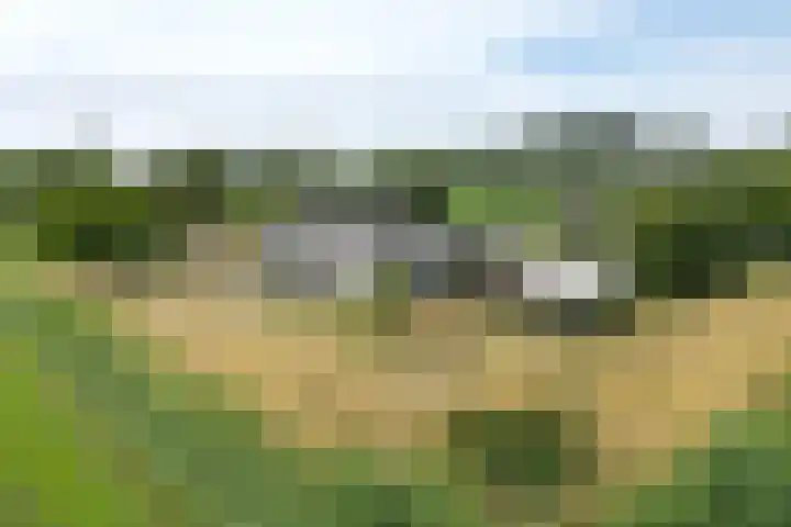 Ewoudsdam 20 Zevenbergschen Hoek thumbnail 73