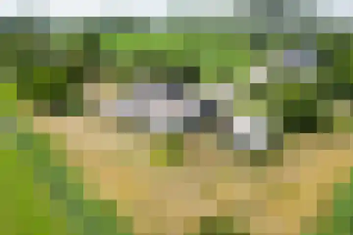 Ewoudsdam 20 Zevenbergschen Hoek thumbnail 74