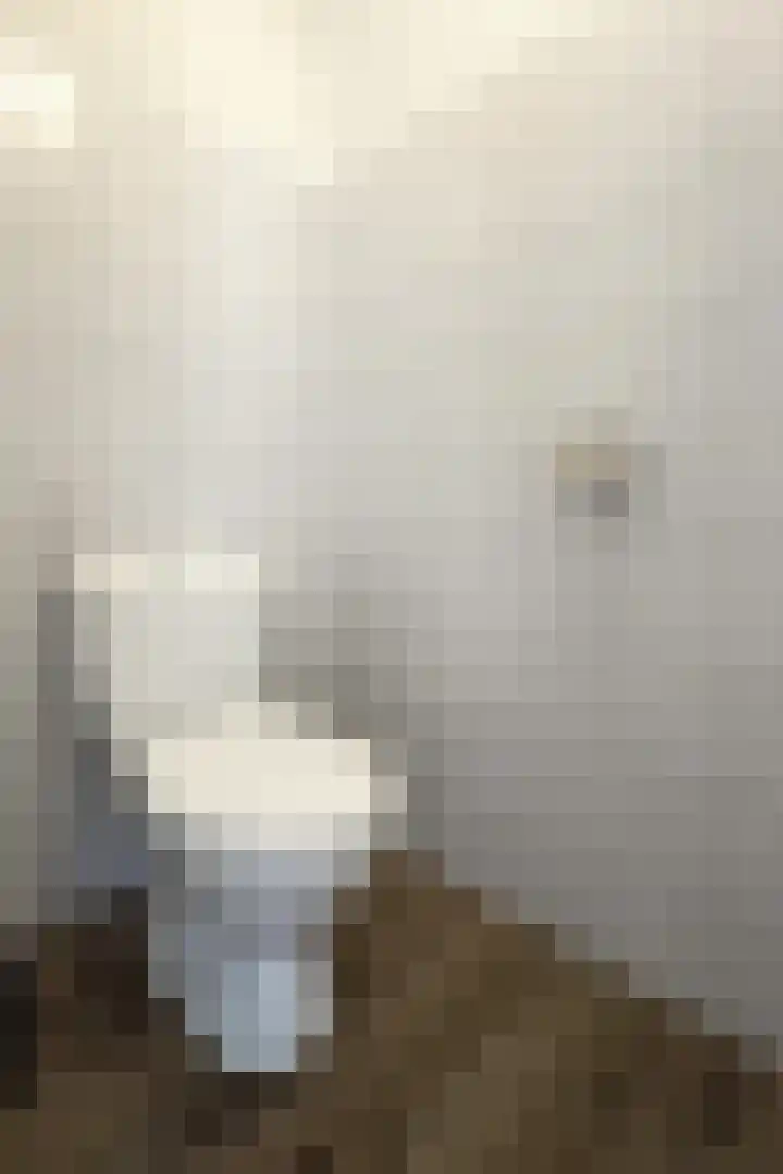 Ewoudsdam 20 Zevenbergschen Hoek thumbnail 8