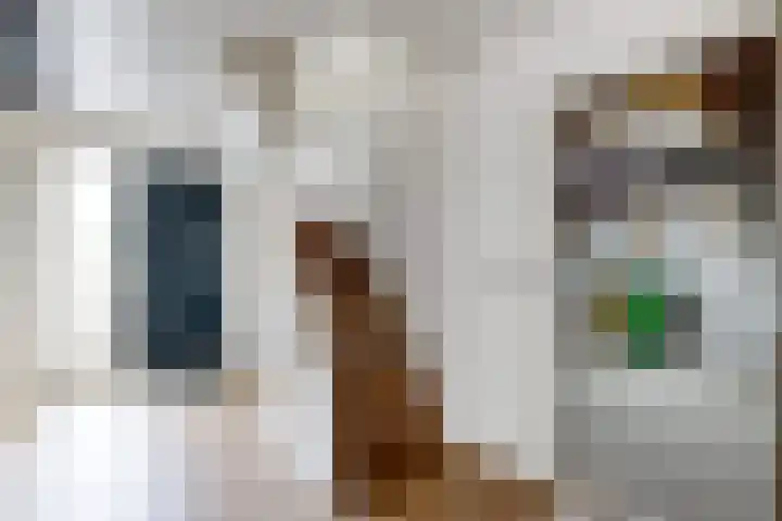 Ewoudsdam 20 Zevenbergschen Hoek thumbnail 9