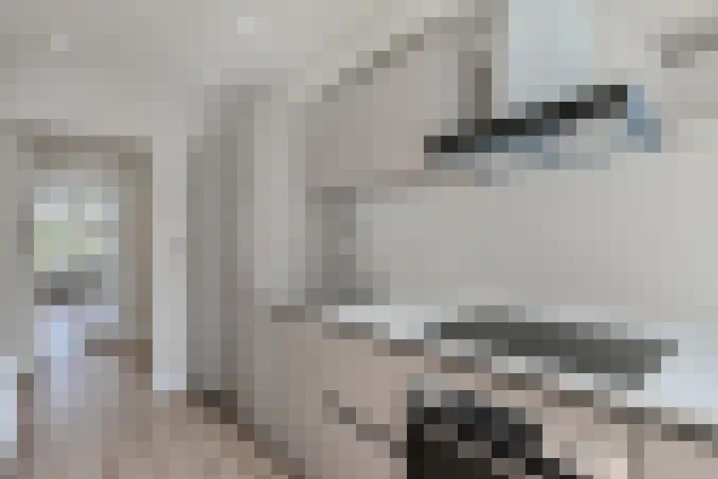 Ewoudt van der Dussenlaan 13 Voorburg thumbnail 11