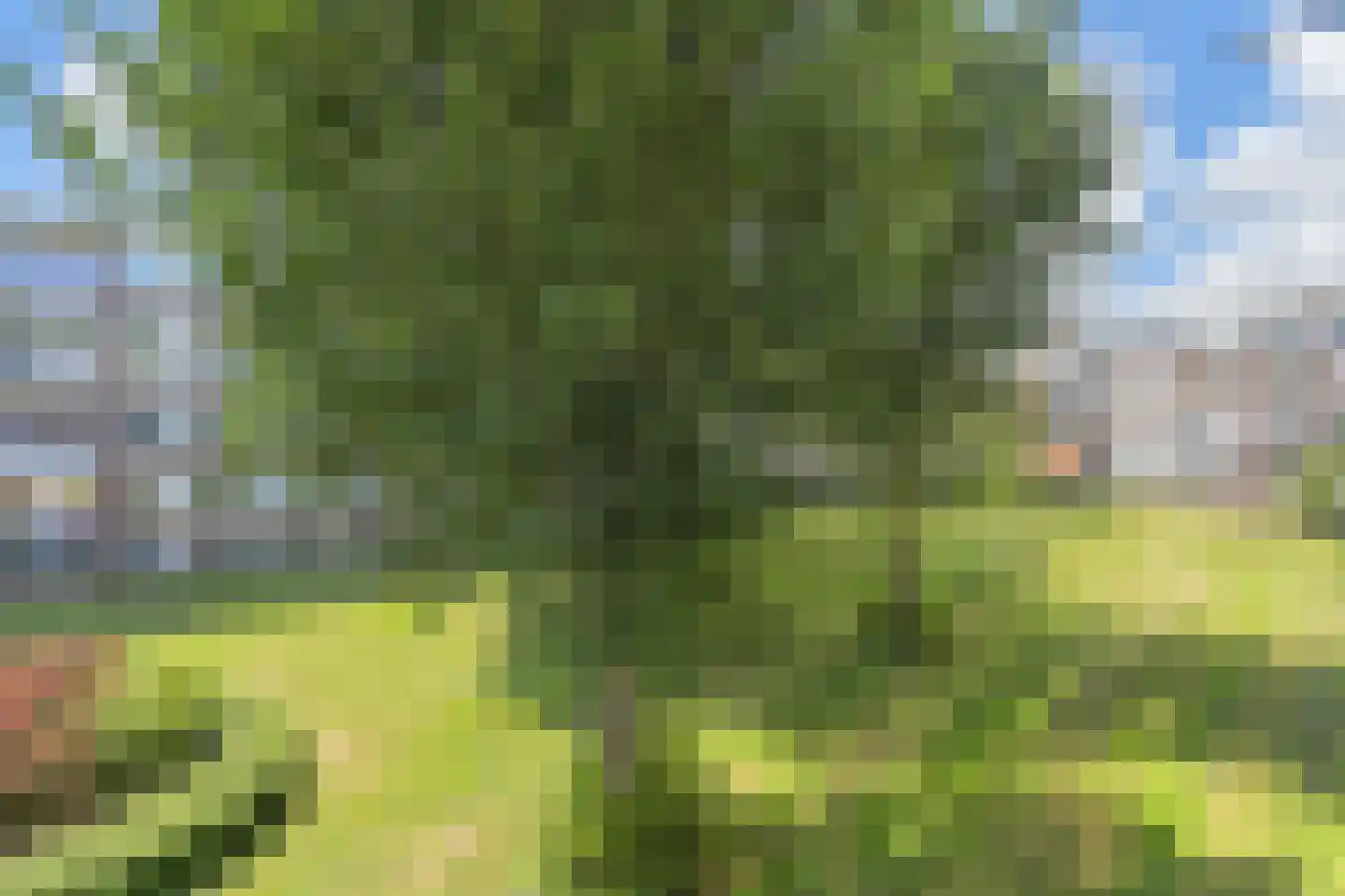 Ewoudt van der Dussenlaan 13 Voorburg thumbnail 27