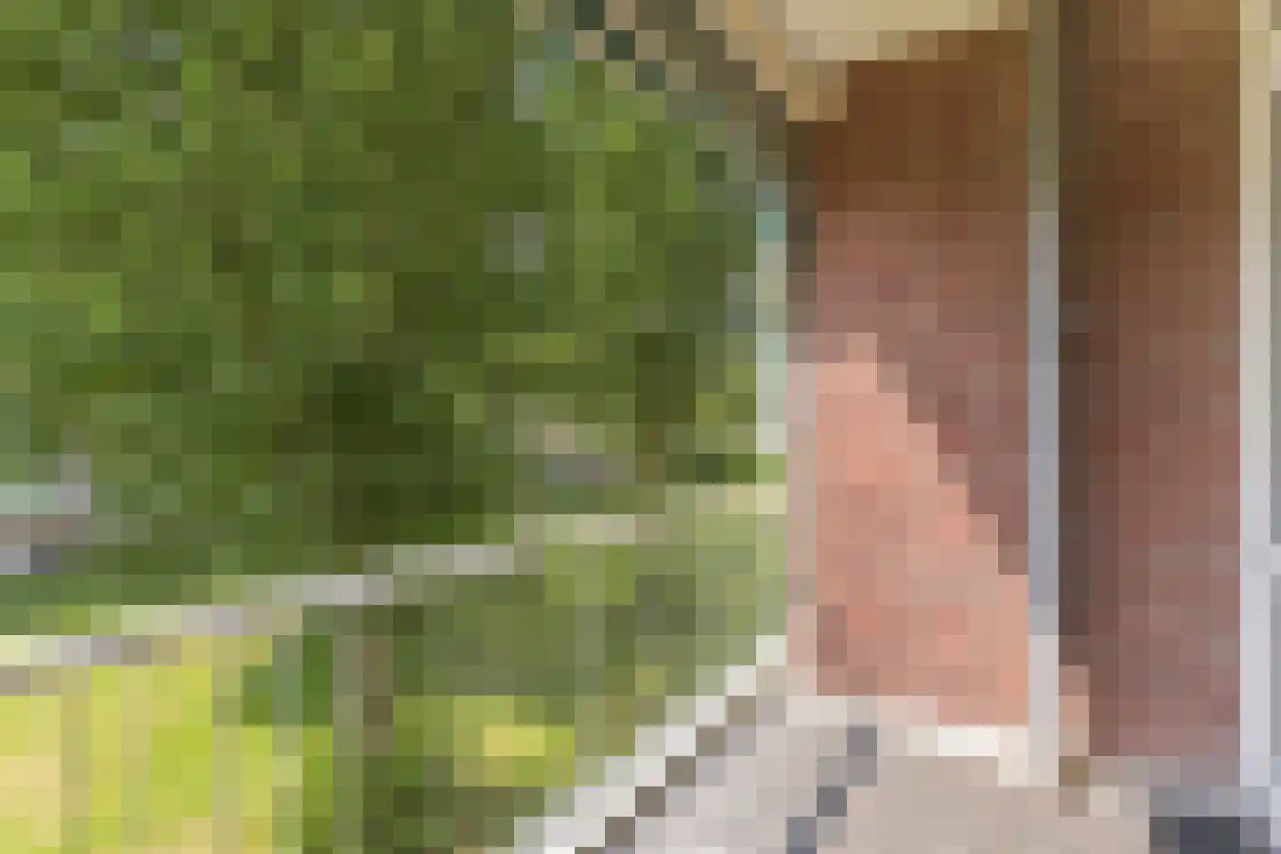 Ewoudt van der Dussenlaan 13 Voorburg thumbnail 29