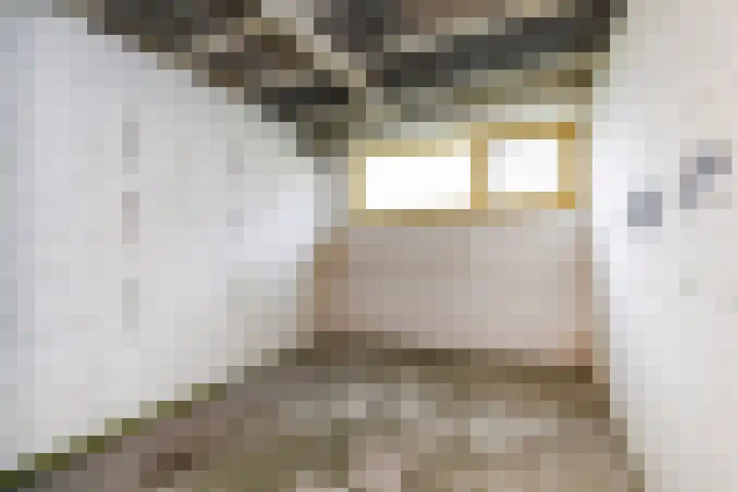 Ewoudt van der Dussenlaan 23 Voorburg thumbnail 36