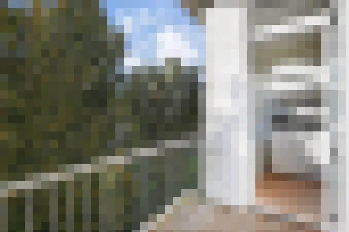 Ewoudt van der Dussenlaan 23 Voorburg thumbnail 39