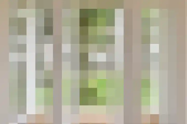 Ewoudt van der Dussenlaan 31 Voorburg thumbnail 13