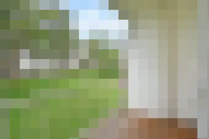 Ewoudt van der Dussenlaan 31 Voorburg thumbnail 14