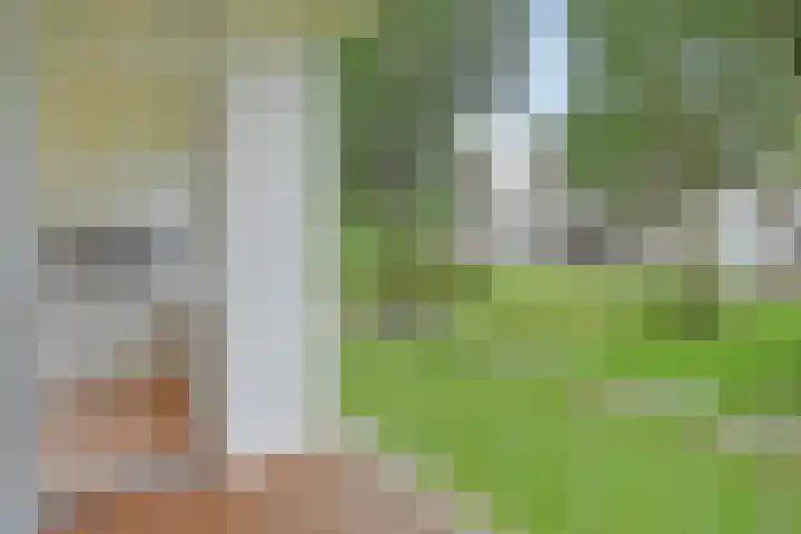 Ewoudt van der Dussenlaan 31 Voorburg thumbnail 15