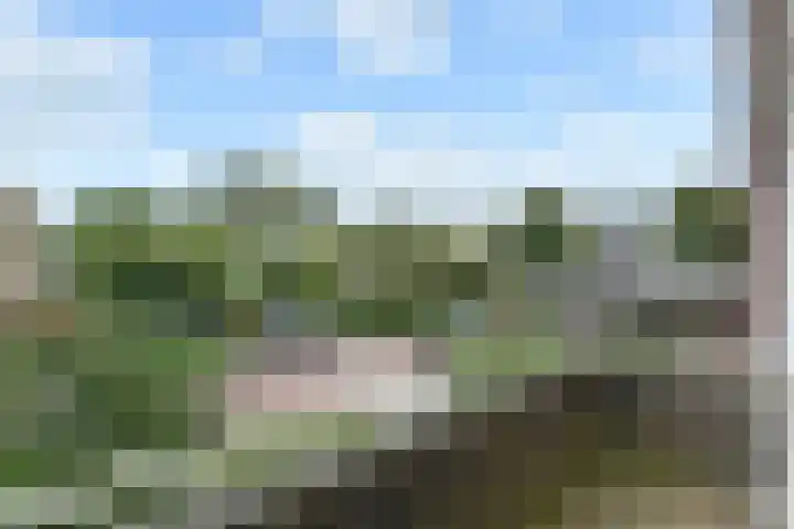 Ewoudt van der Dussenlaan 31 Voorburg thumbnail 7