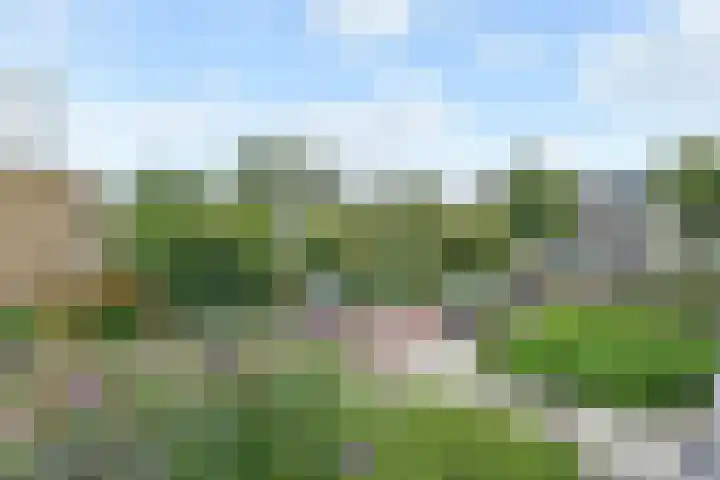 Ewoudt van der Dussenlaan 31 Voorburg thumbnail 8