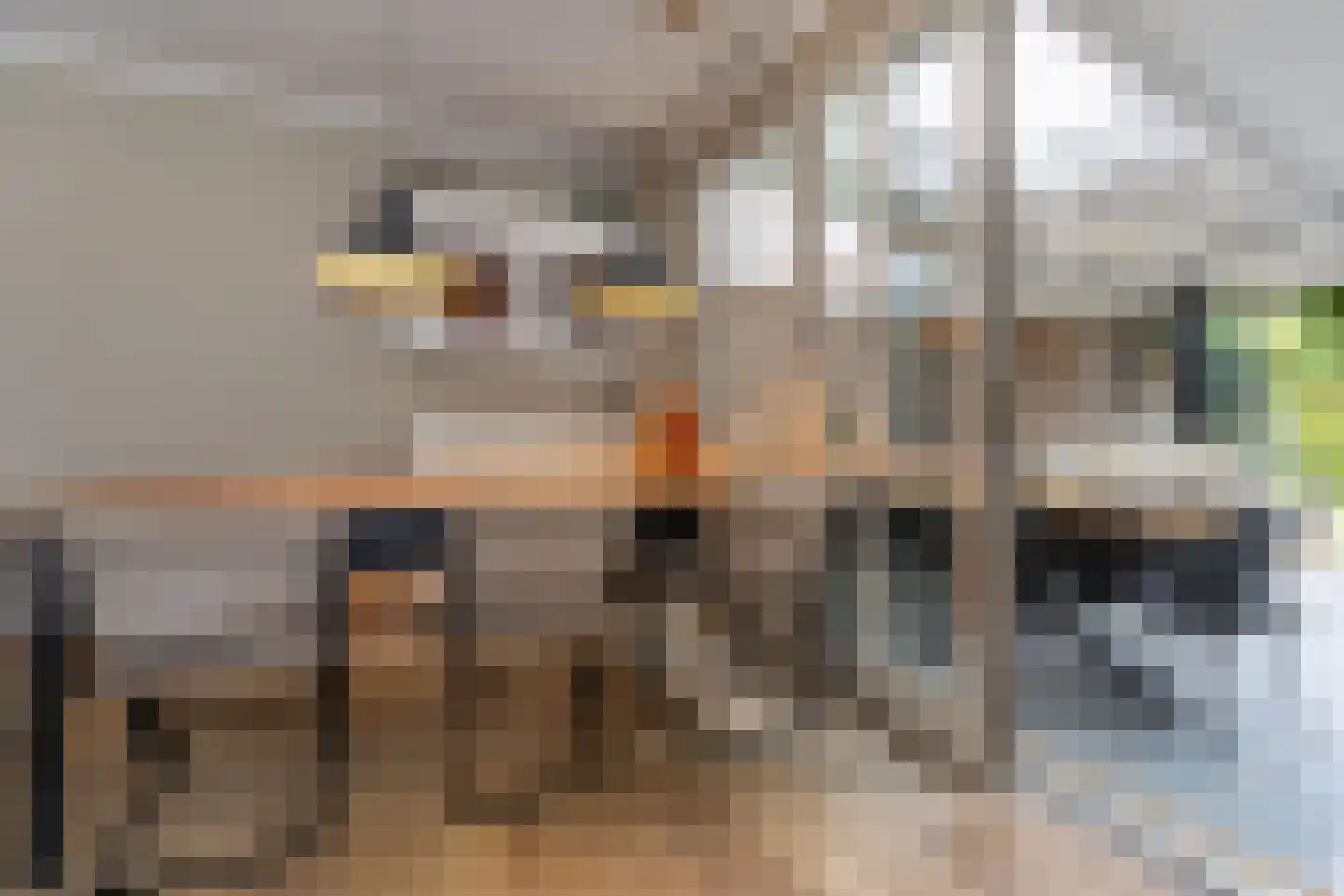 Exaten 8 Weert thumbnail 12