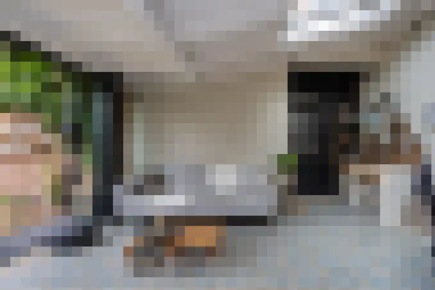 Exaten 8 Weert thumbnail 23