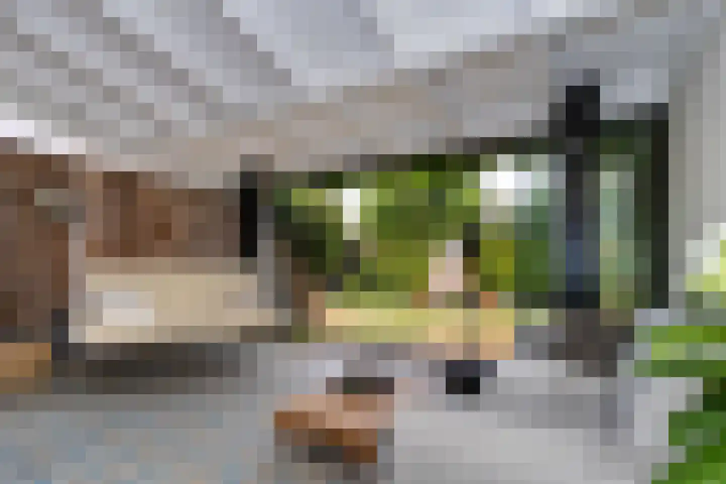 Exaten 8 Weert thumbnail 24