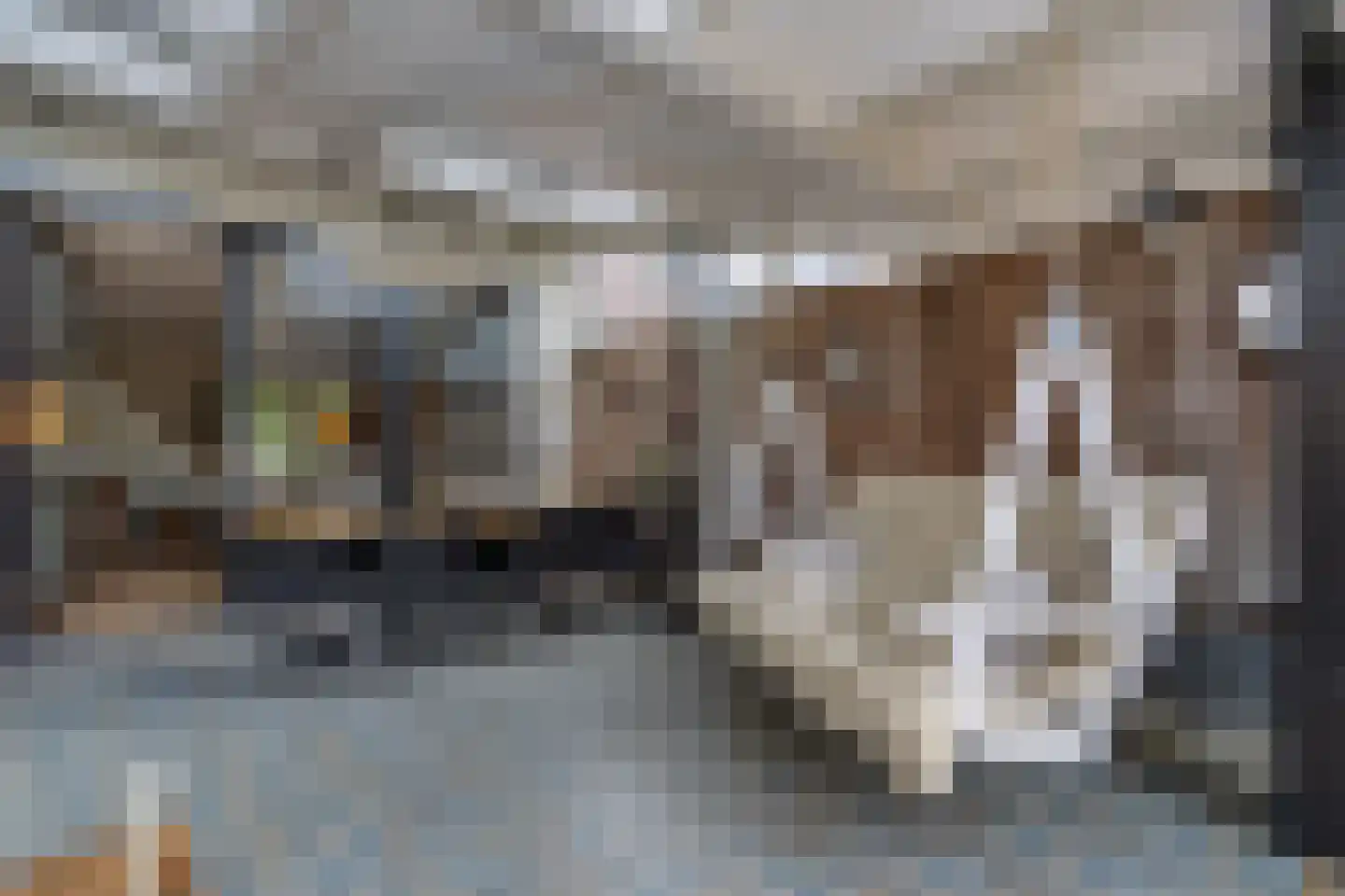 Exaten 8 Weert thumbnail 26