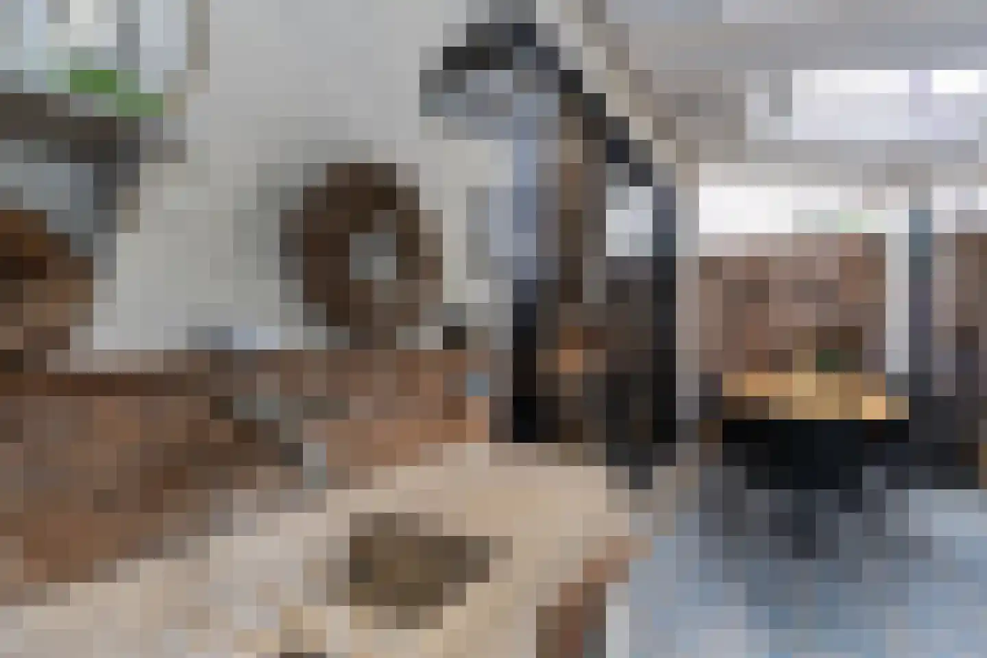 Exaten 8 Weert thumbnail 28