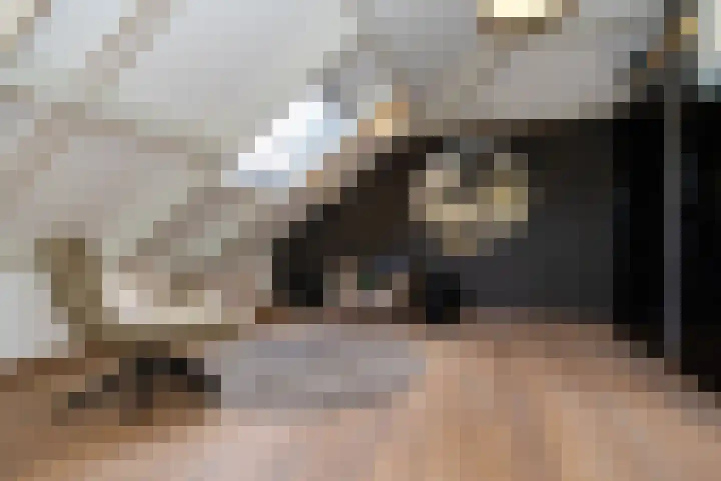 Exaten 8 Weert thumbnail 47