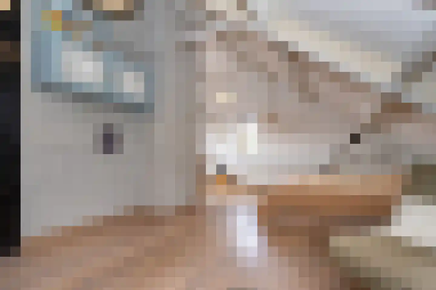 Exaten 8 Weert thumbnail 48