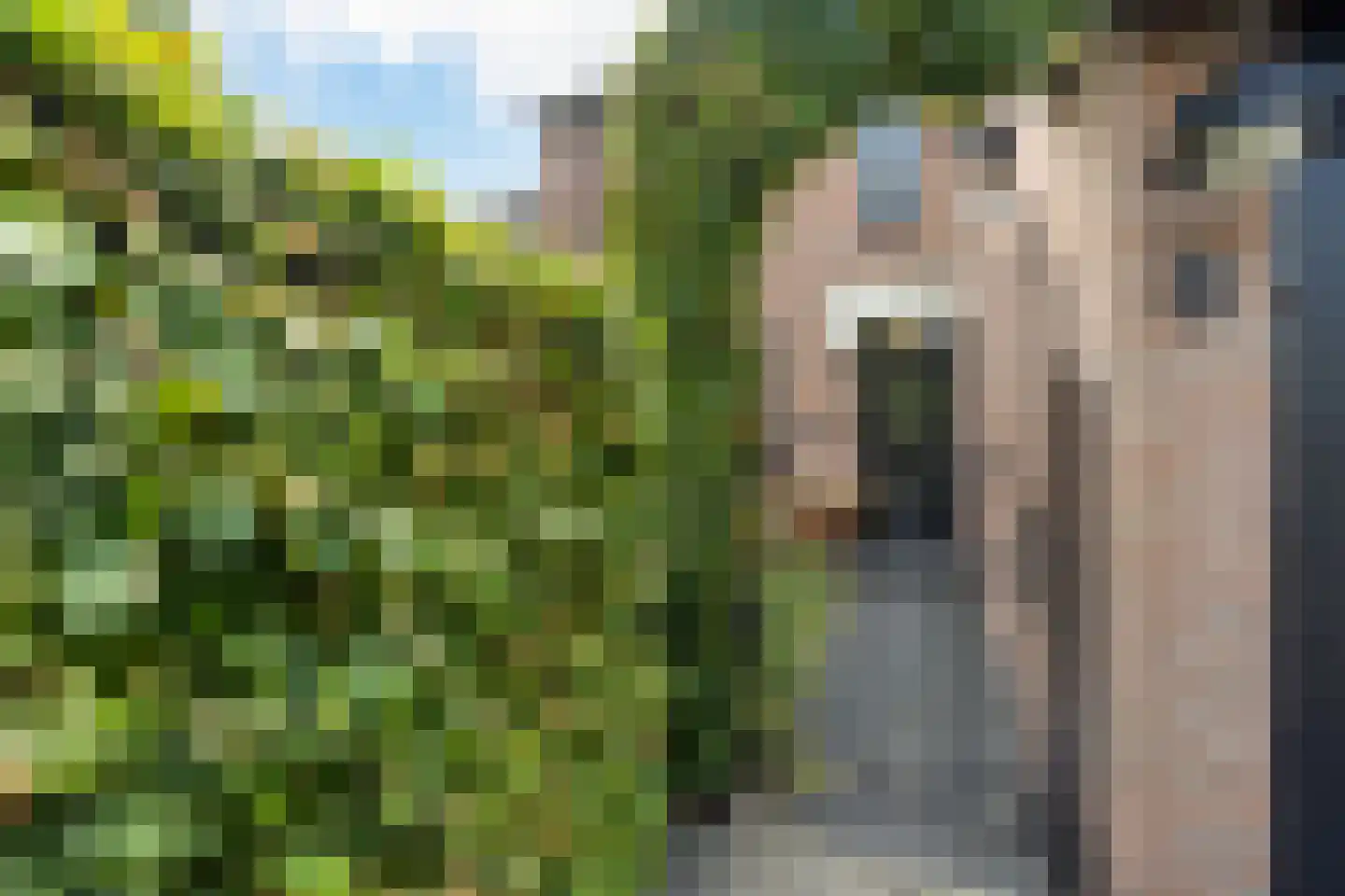 Exaten 8 Weert thumbnail 66