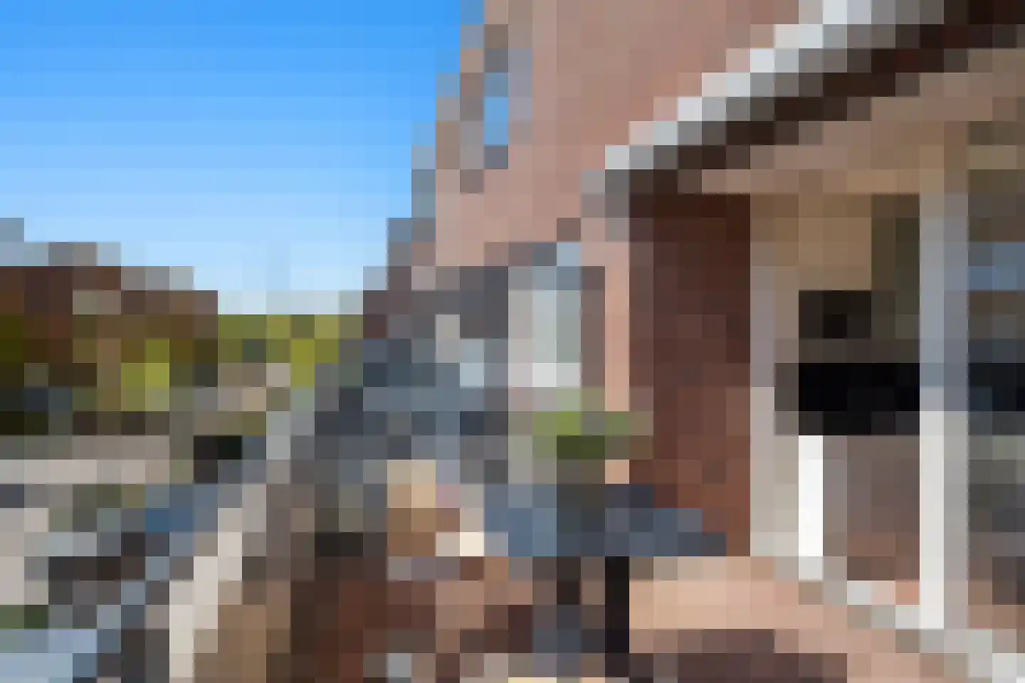 Exatenlaan 17 Spijkenisse thumbnail 27