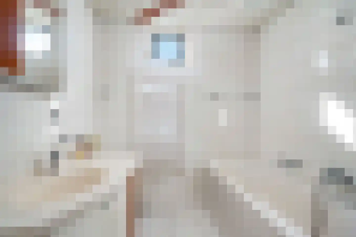 Exatenlaan 17 Spijkenisse thumbnail 36