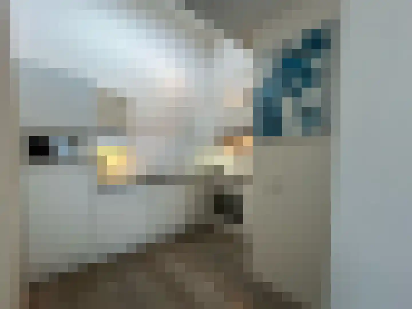 Excelsiorstraat 13 Nes thumbnail 8