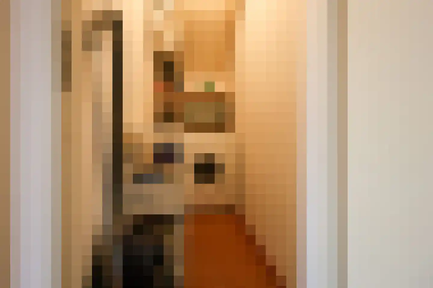 Excelsiorstraat 53 Nes thumbnail 11