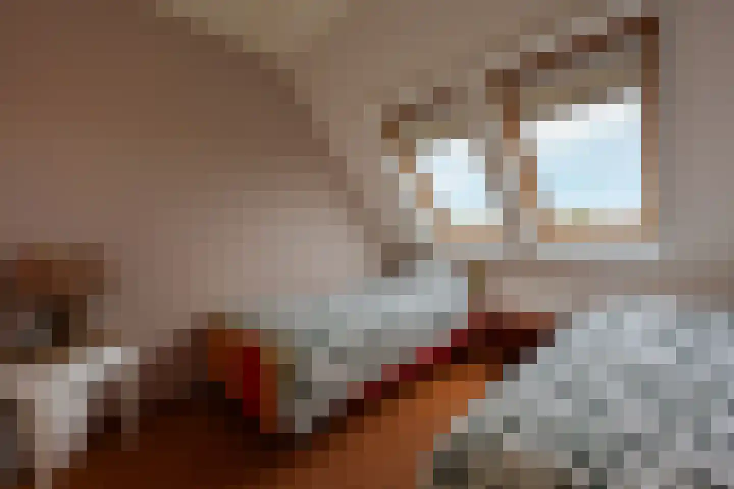 Excelsiorstraat 53 Nes thumbnail 8