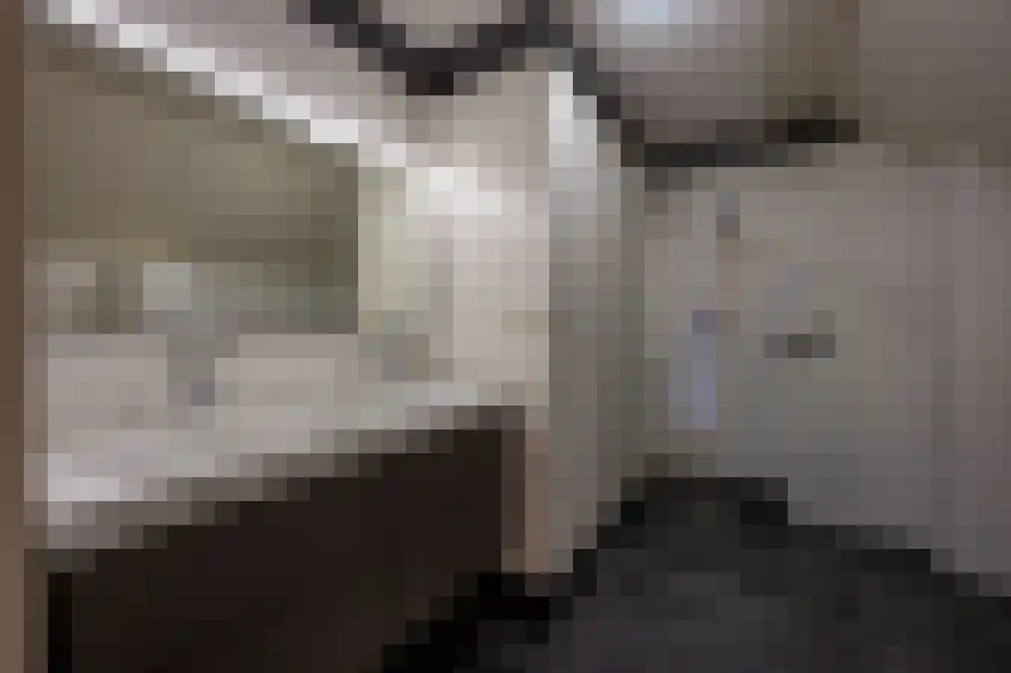 Excelsiorstraat 53 Nes thumbnail 9
