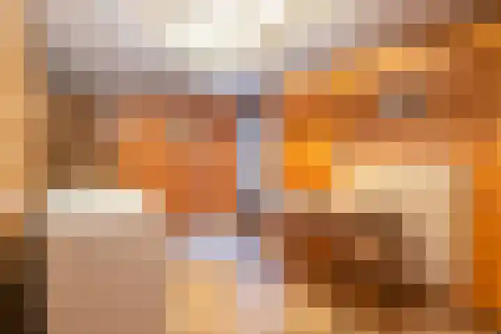 Exdel 19 Landgraaf thumbnail 20