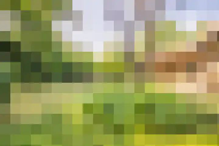 Exdel 19 Landgraaf thumbnail 24