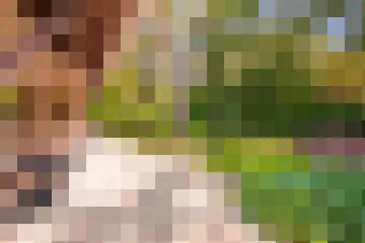 Exdel 19 Landgraaf thumbnail 27