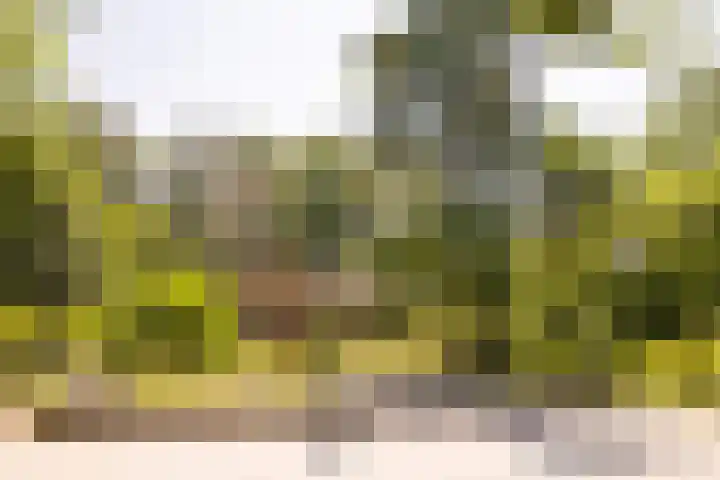 Exdel 19 Landgraaf thumbnail 30