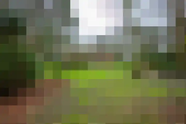 Exdel 38 in Landgraaf