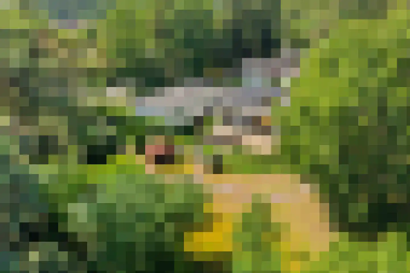 Exdellerweg 2 Landgraaf thumbnail 15