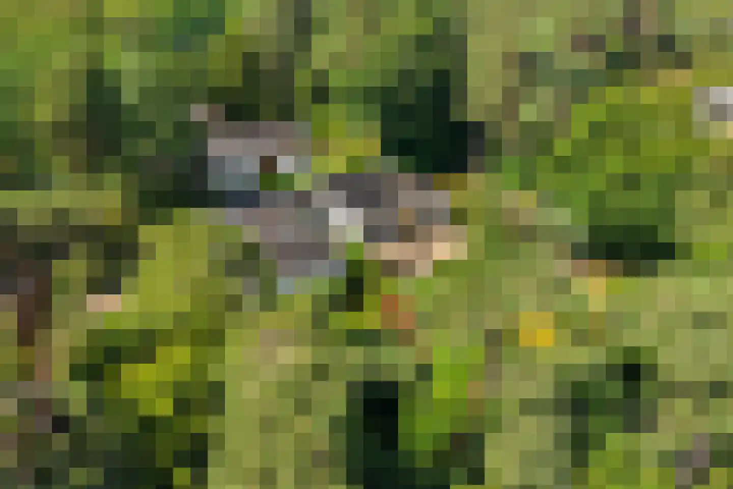 Exdellerweg 2 Landgraaf thumbnail 16
