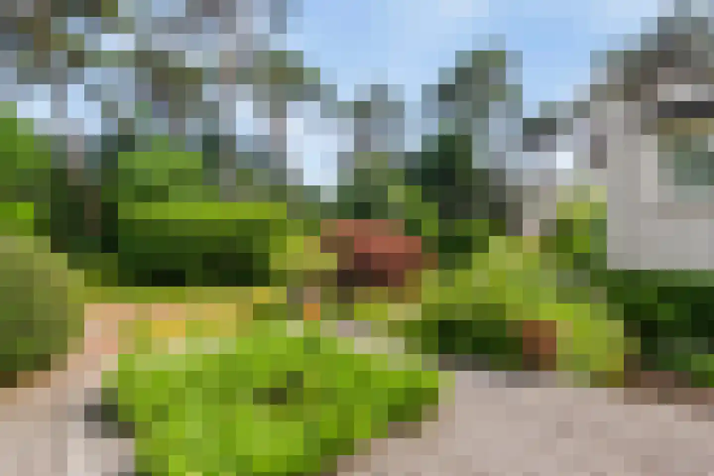 Exdellerweg 2 Landgraaf thumbnail 18