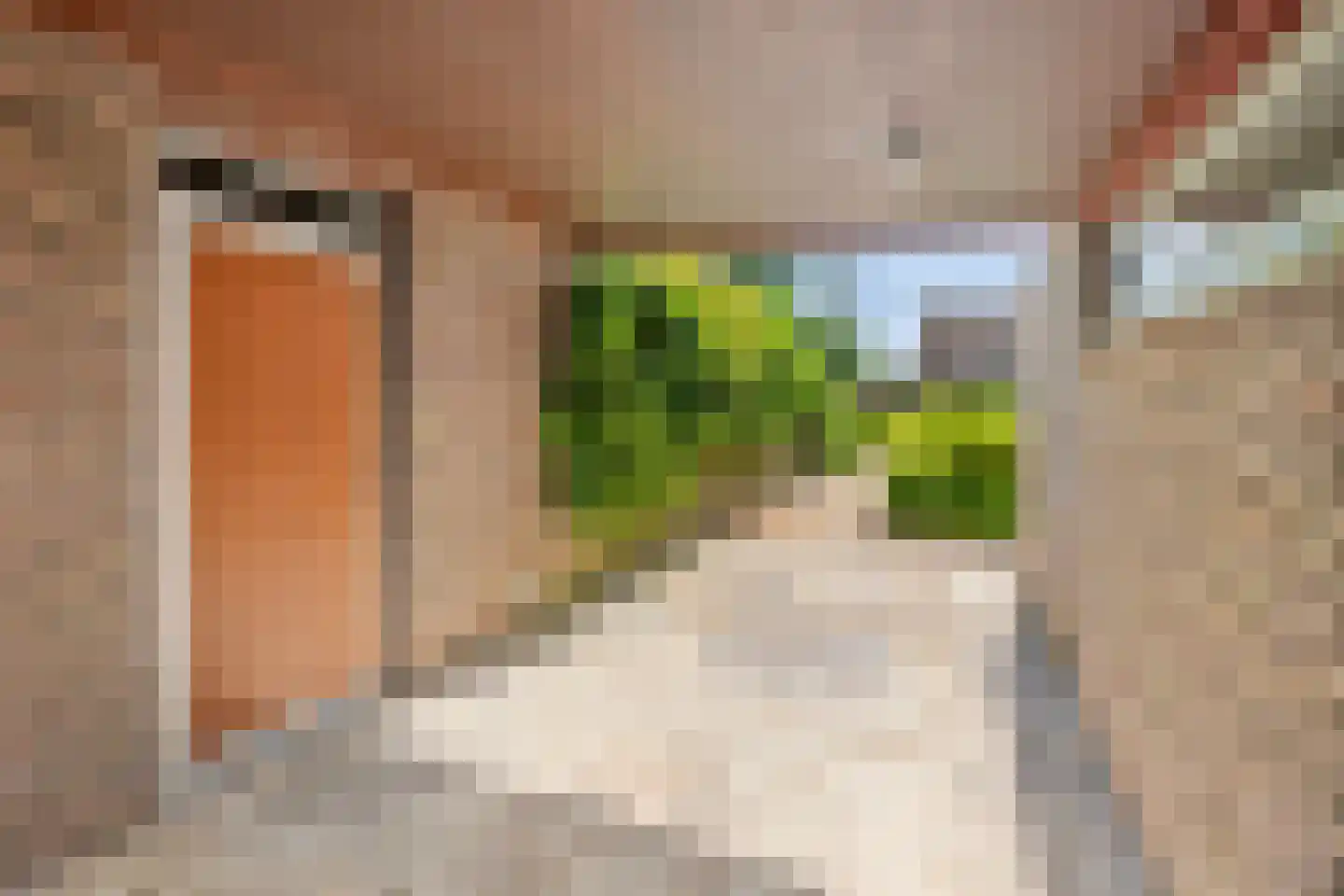 Exdellerweg 2 Landgraaf thumbnail 48