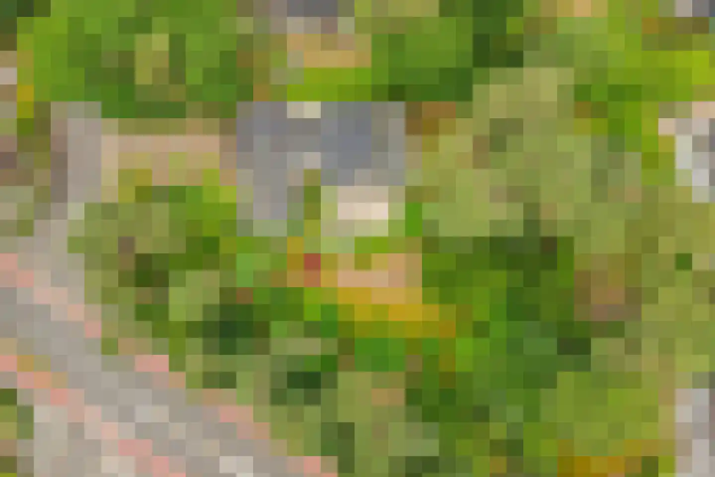 Exdellerweg 2 Landgraaf thumbnail 52