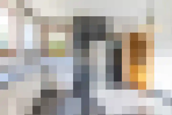 Exelsboom 2 Geleen thumbnail 15