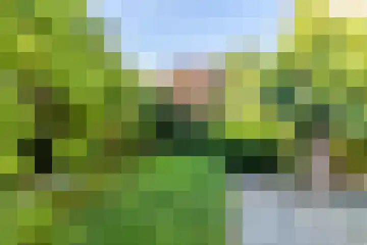 Exelsboom 2 Geleen thumbnail 17