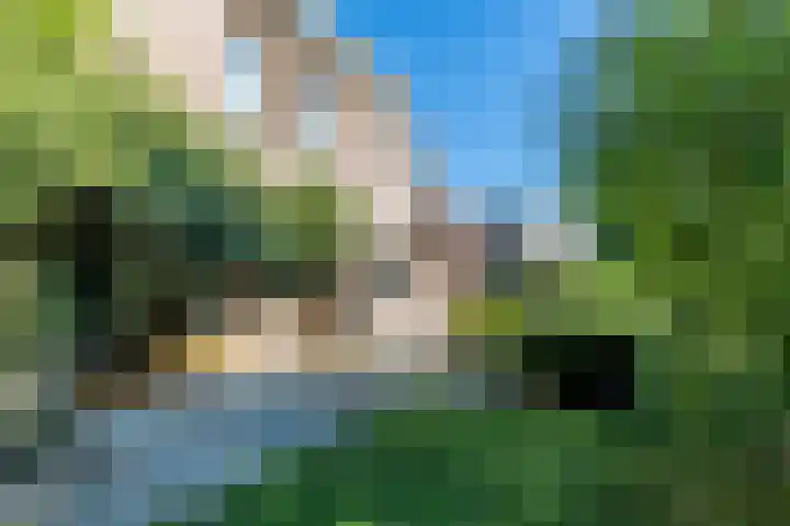 Exelsboom 2 Geleen thumbnail 20