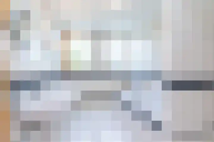 Exelsboom 2 Geleen thumbnail 32
