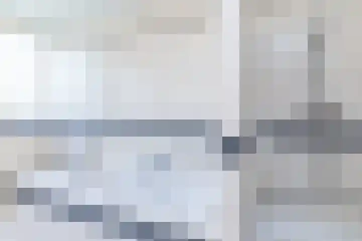 Exelsboom 2 Geleen thumbnail 33