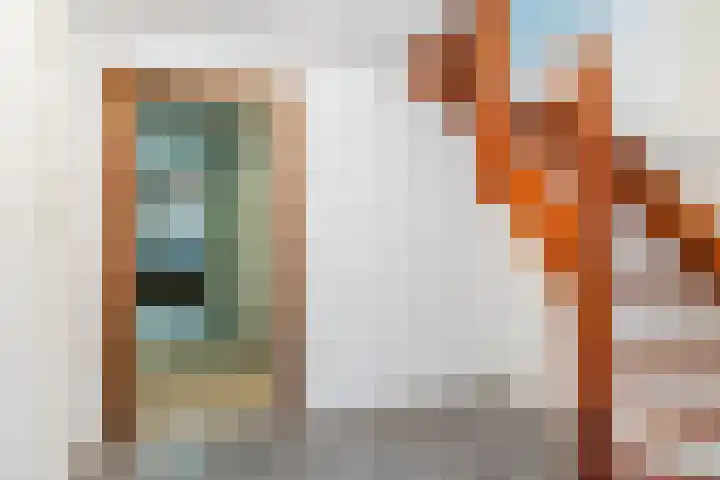 Exelsboom 2 Geleen thumbnail 34