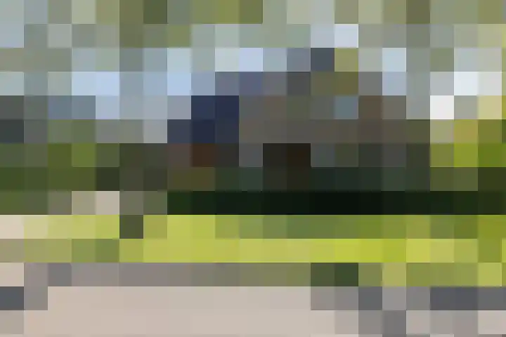 Exelsboom 2 Geleen thumbnail 38