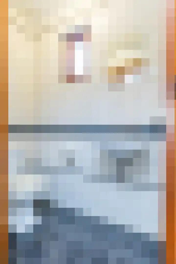 Exelsboom 2 Geleen thumbnail 5