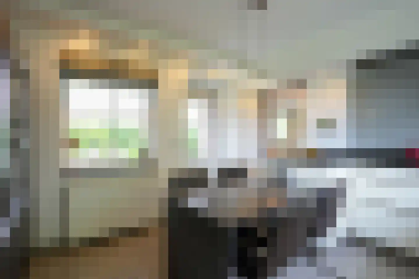 Exelsboom 8 Geleen thumbnail 14