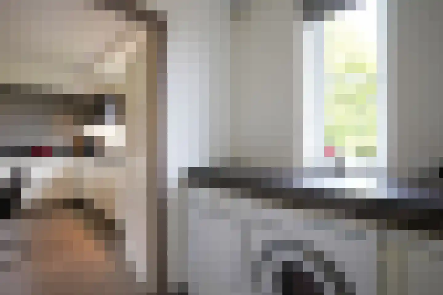 Exelsboom 8 Geleen thumbnail 17